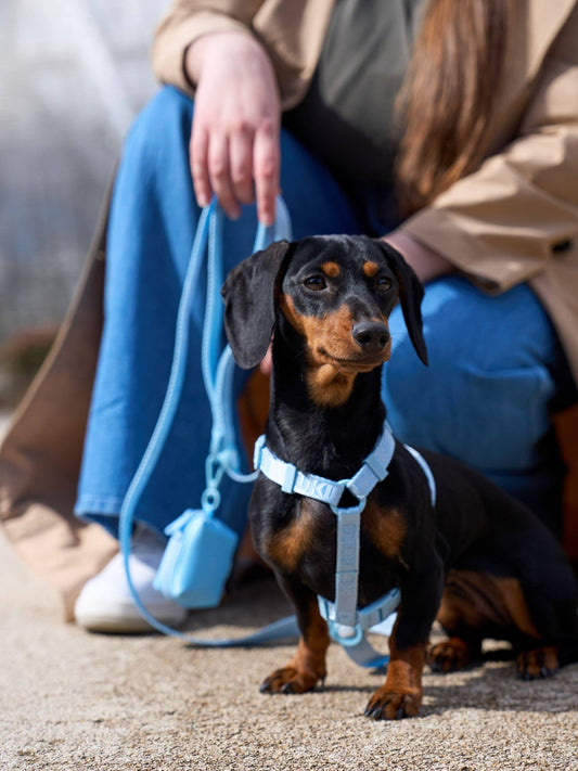 Soft Blue Dog Leash